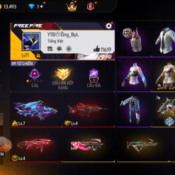 ACC FREE FIRE VIP 6